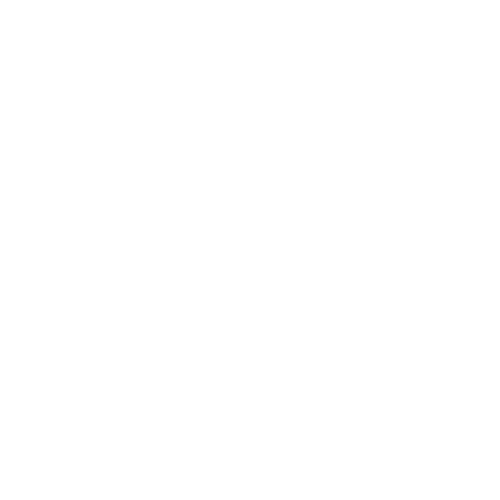 SSTFLIX